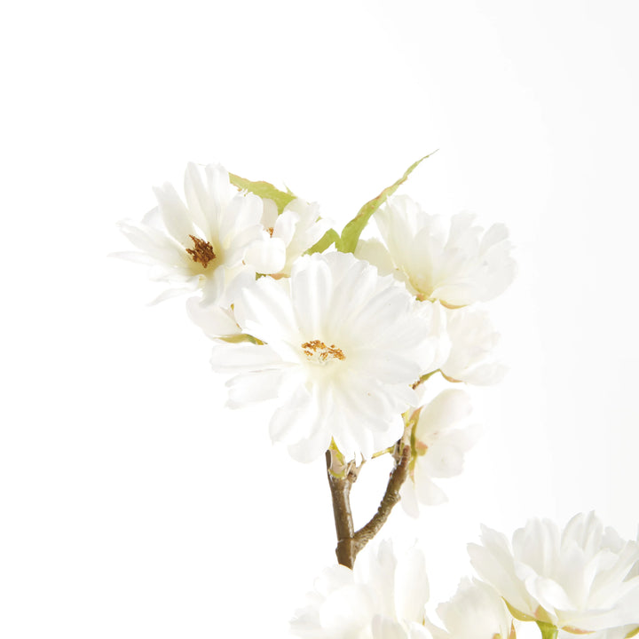 Double Cherry Blossom Stems 28", Set Of 6 – Modern Organic