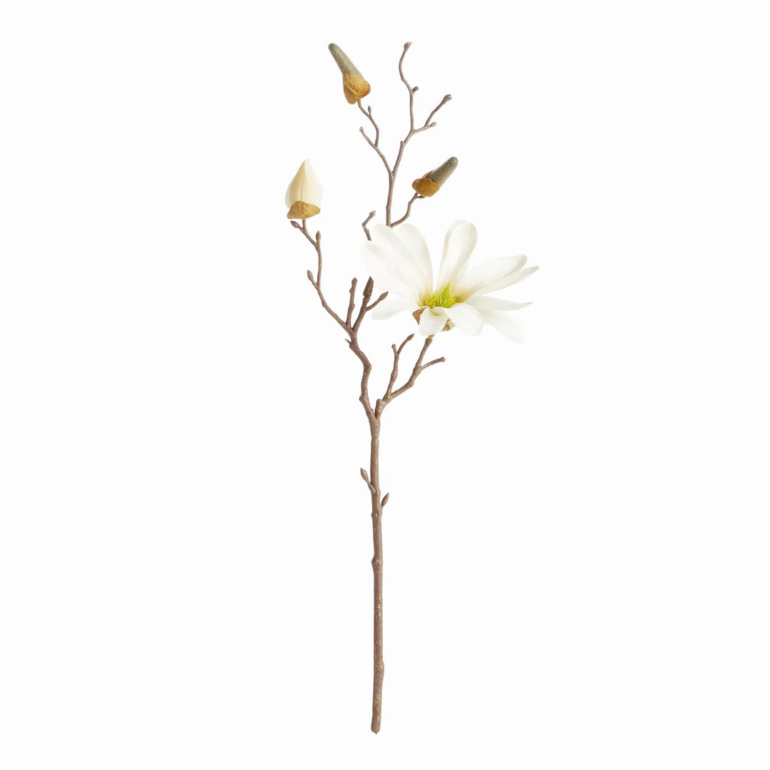 Star Magnolia Stems 18", Set Of 6 – Modern Organic