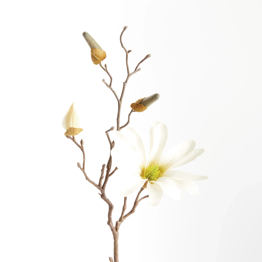 Star Magnolia Stems 18", Set Of 6 – Modern Organic
