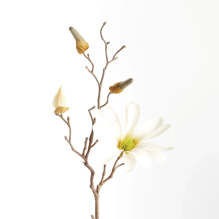 Star Magnolia Stems 18", Set Of 6 – Modern Organic