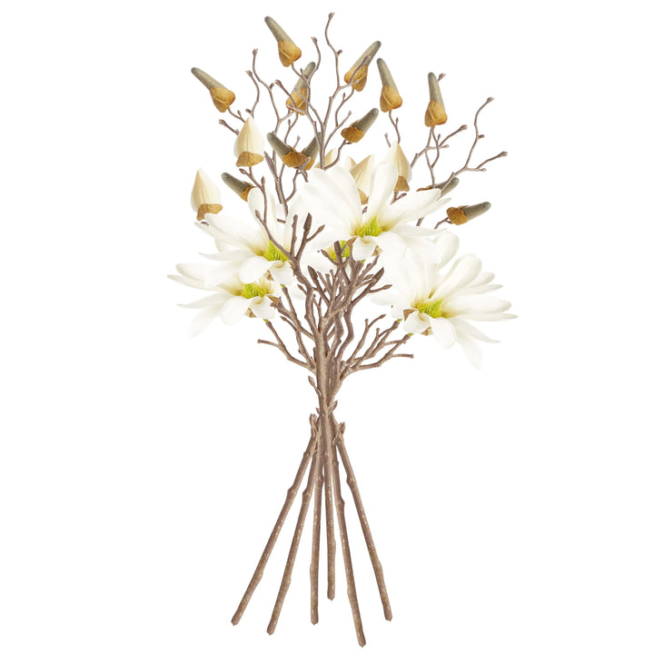 Star Magnolia Stems 18", Set Of 6 – Modern Organic
