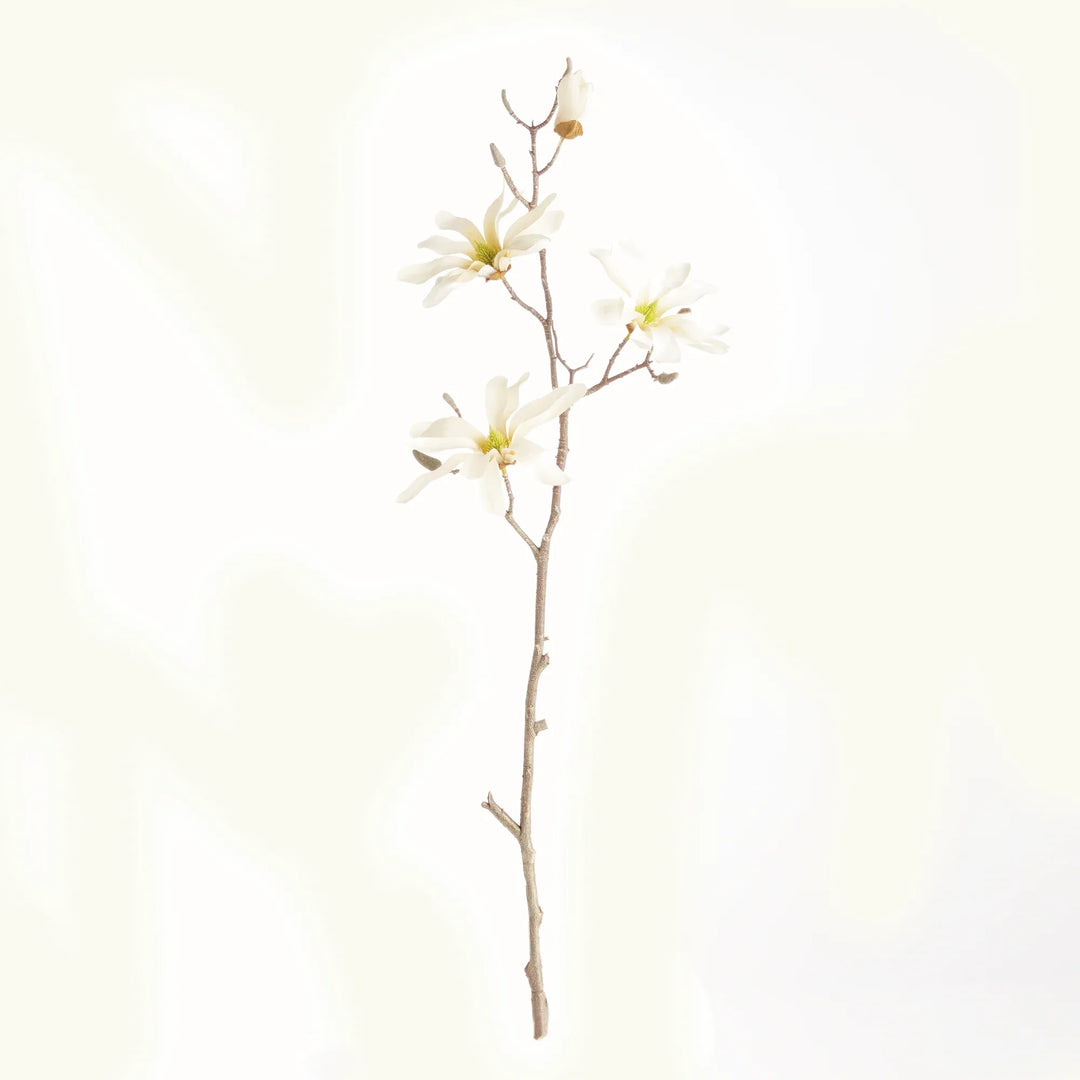 Star Magnolia Branches 32", Set Of 6 – Modern Organic