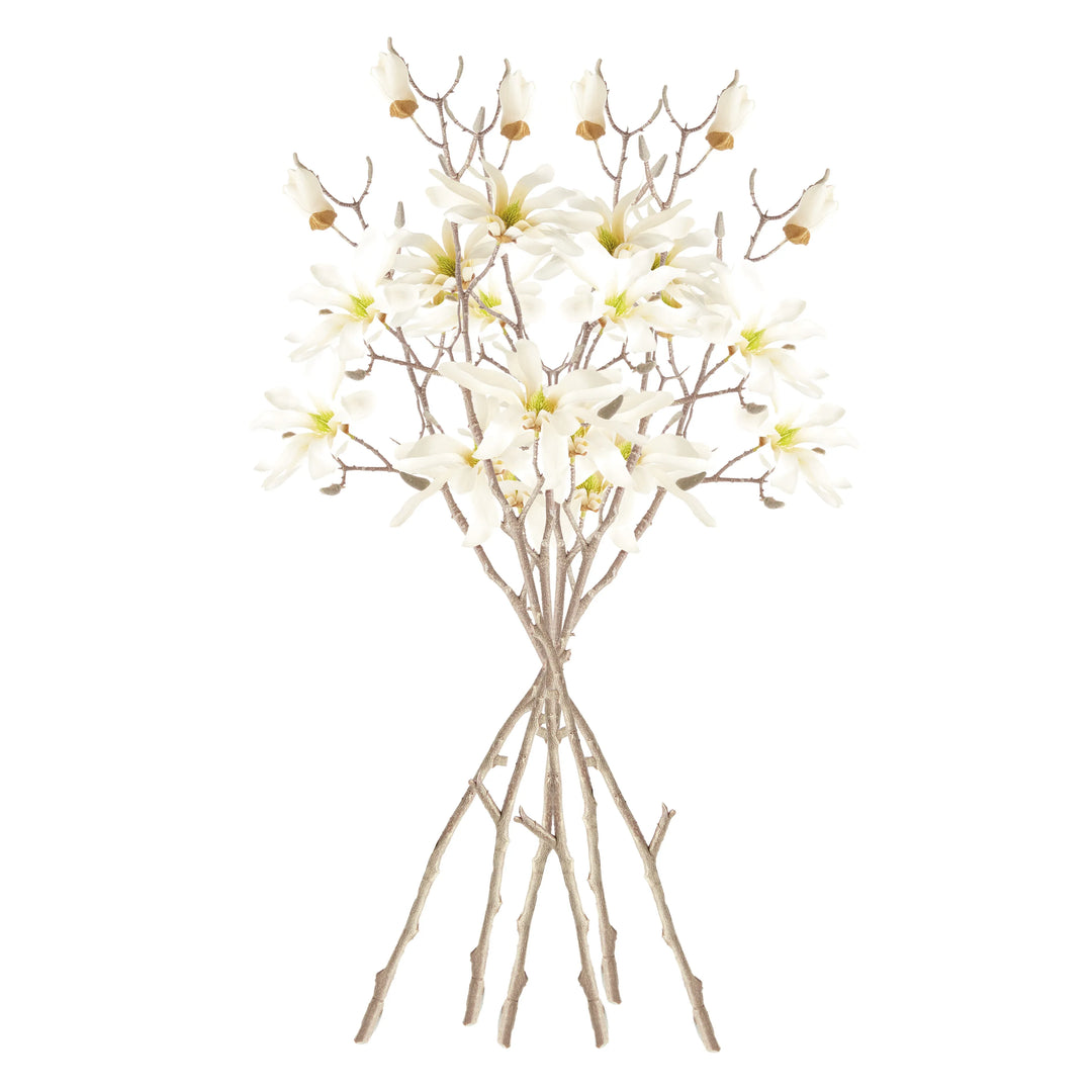 Star Magnolia Branches 32", Set Of 6 – Modern Organic