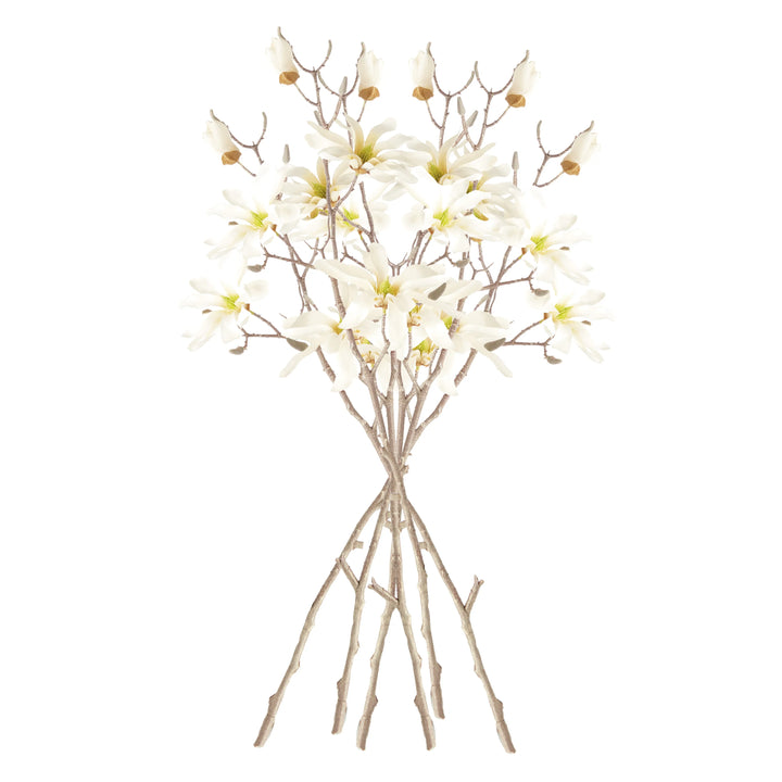 Star Magnolia Branches 32", Set Of 6 – Modern Organic