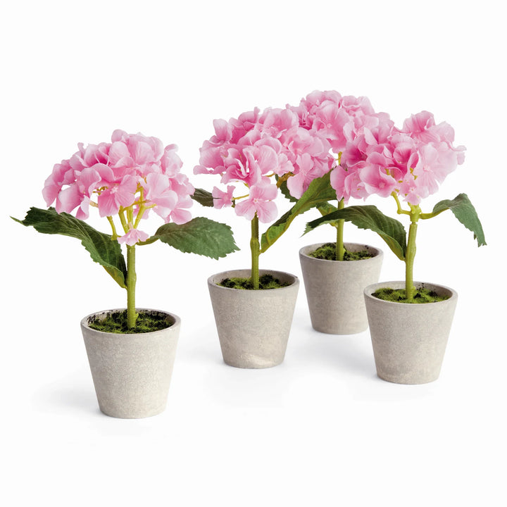 Mini Hydrangea Potted 8", Set Of 4 – Modern Organic