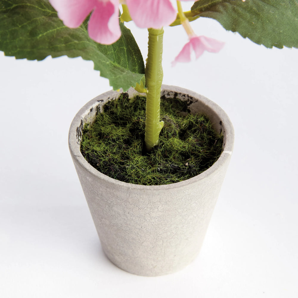 Mini Hydrangea Potted 8", Set Of 4 – Modern Organic