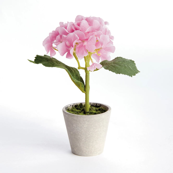 Mini Hydrangea Potted 8", Set Of 4 – Modern Organic