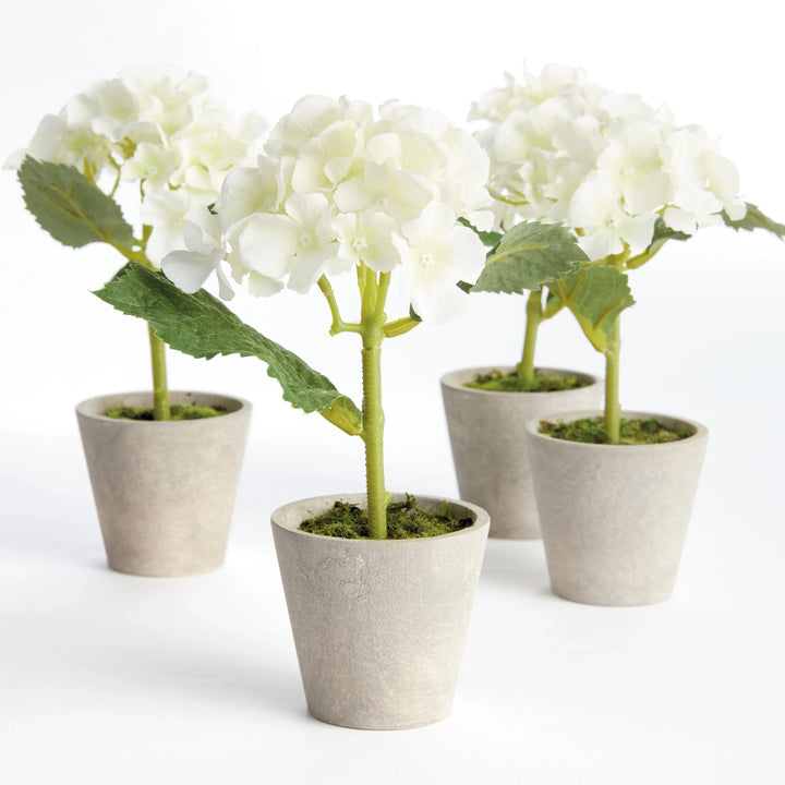 Mini Hydrangea Potted 8", Set Of 4 – Modern Organic
