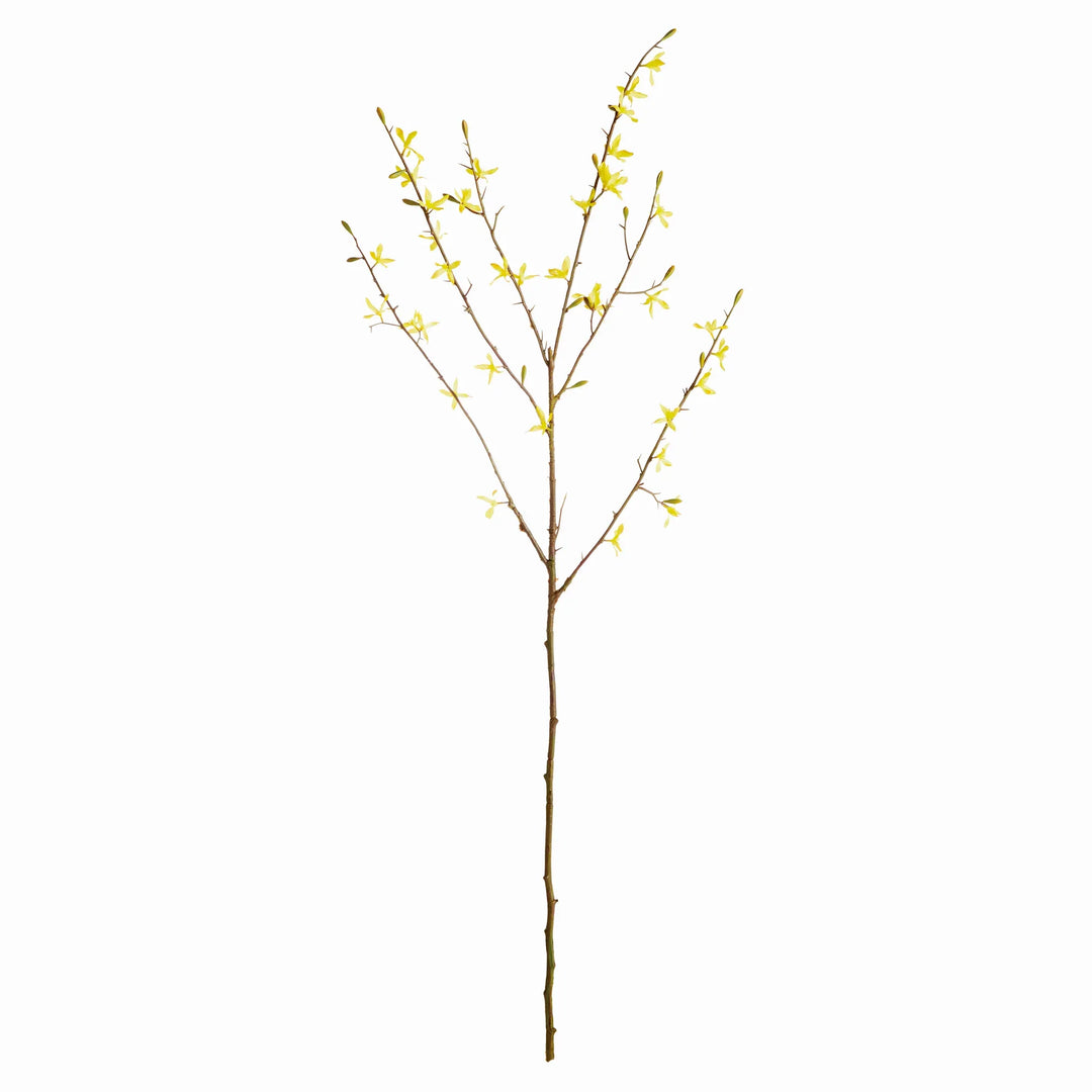 Forsythia Stems 47", Set Of 6 – Modern Organic