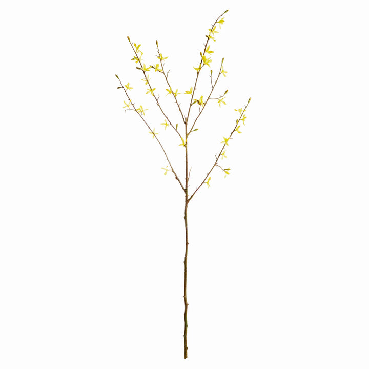 Forsythia Stems 47", Set Of 6 – Modern Organic