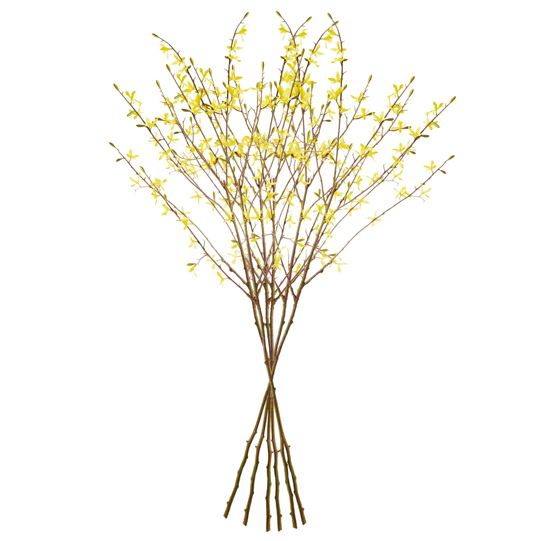 Forsythia Stems 47", Set Of 6 – Modern Organic