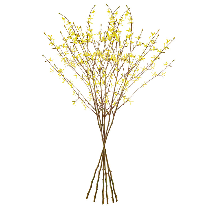 Forsythia Stems 47", Set Of 6 – Modern Organic