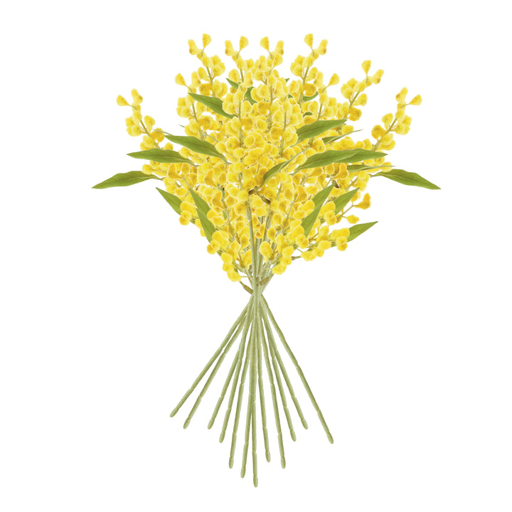 Mimosa Cuttings 11", Set Of 12 – Modern Organic