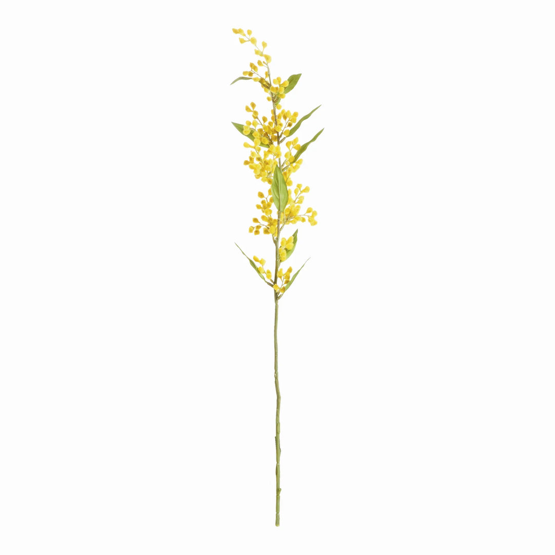 Mimosa Stems 27.5", Set Of 6 – Modern Organic