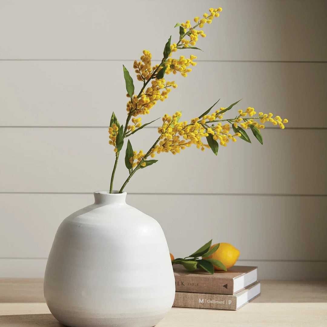 Mimosa Stems 27.5", Set Of 6 – Modern Organic