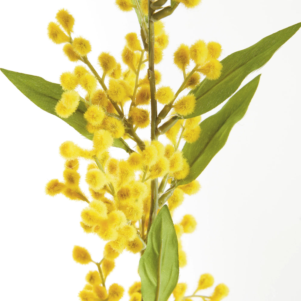 Mimosa Stems 27.5", Set Of 6 – Modern Organic
