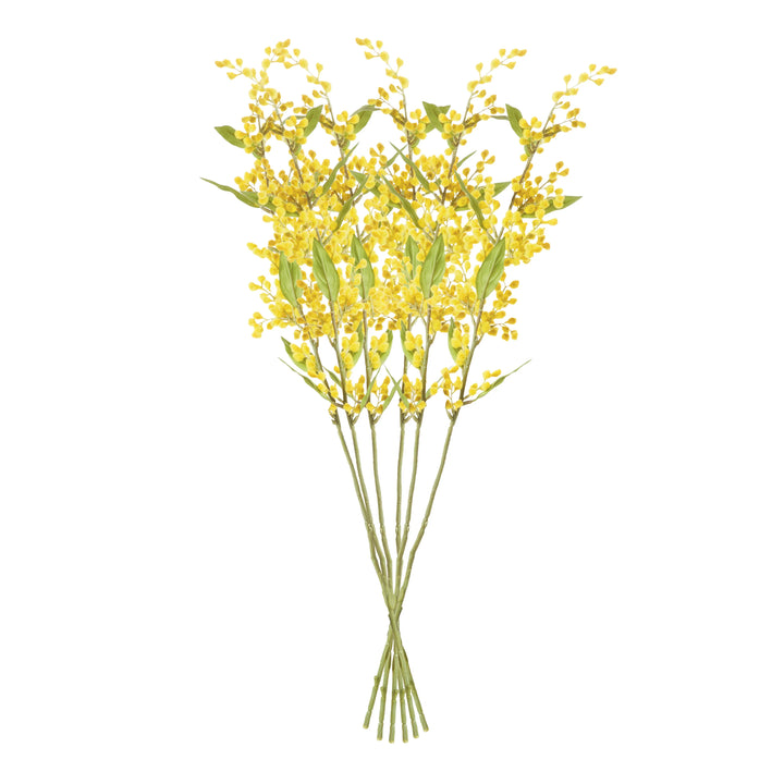 Mimosa Stems 27.5", Set Of 6 – Modern Organic