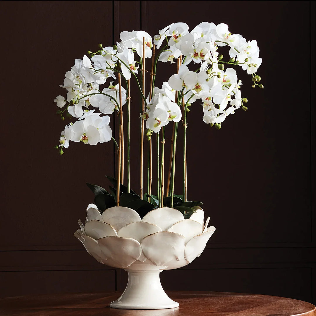 Di Rosa Grande Footed Decorative Bowl – Modern Organic
