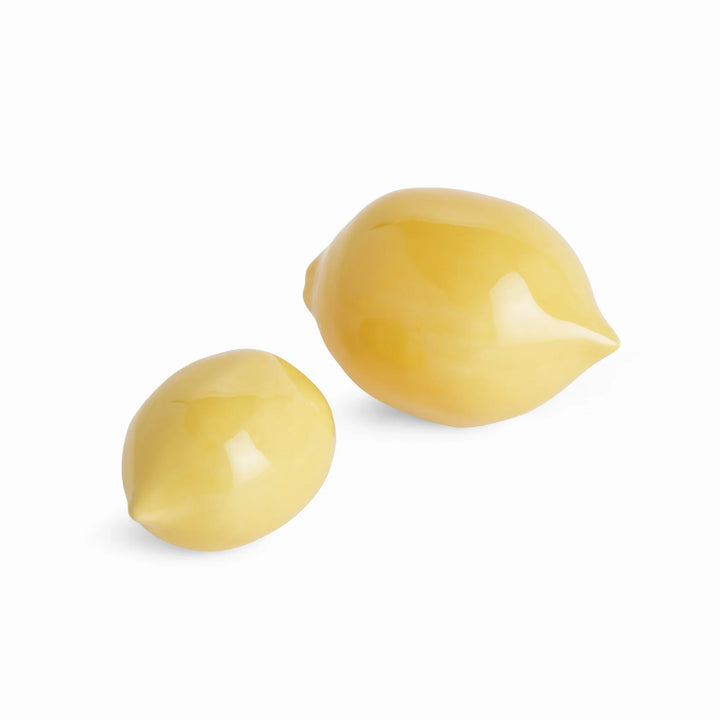 Lemon Objets, Set Of 2 – Modern Organic