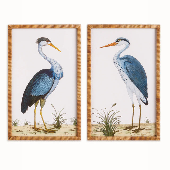 Handsome Heron Pair Prints, Set Of 2 – Modern Organic