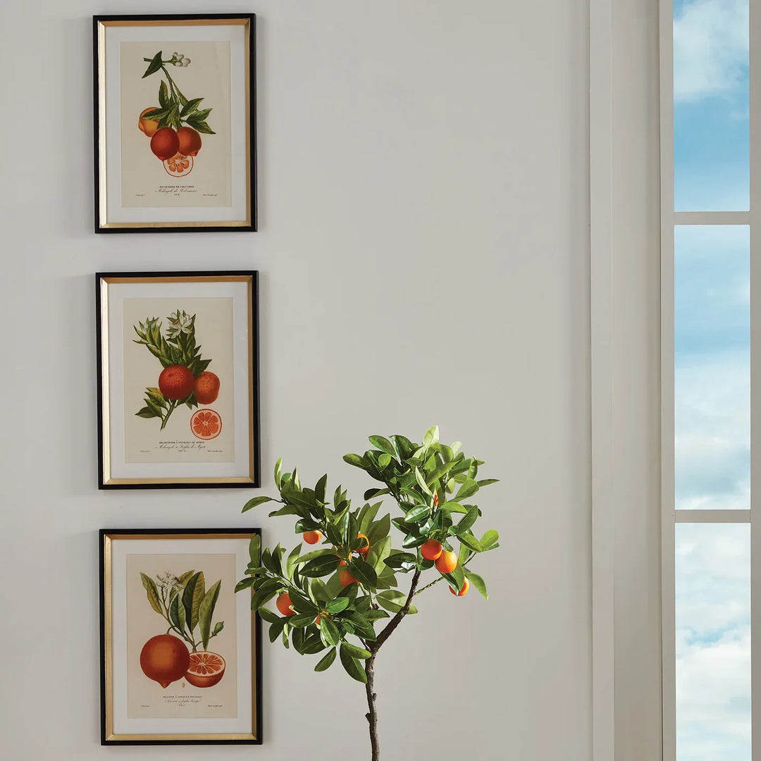 Citrus Cuttings Study, Set Of 4 – Modern Organic