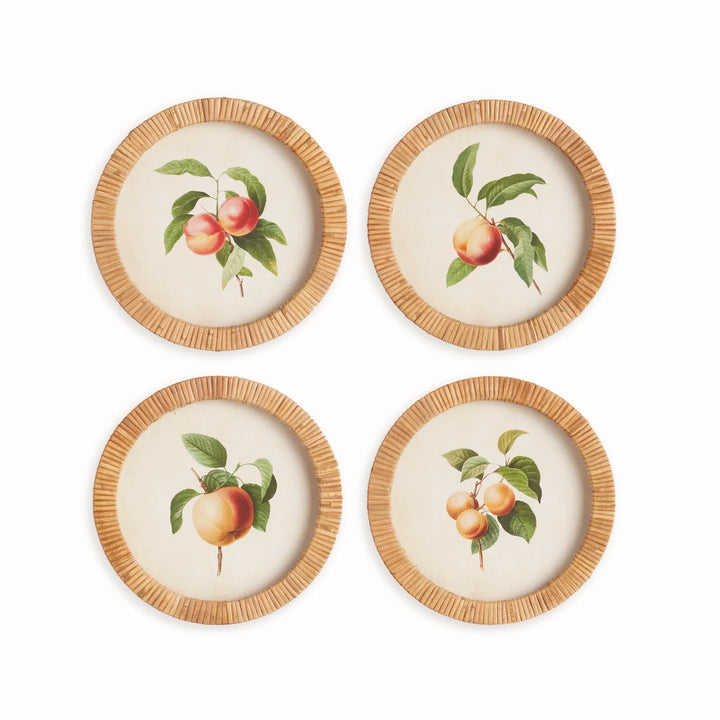 Peach Cuttings Round Petite Prints, Set Of 4 – Modern Organic