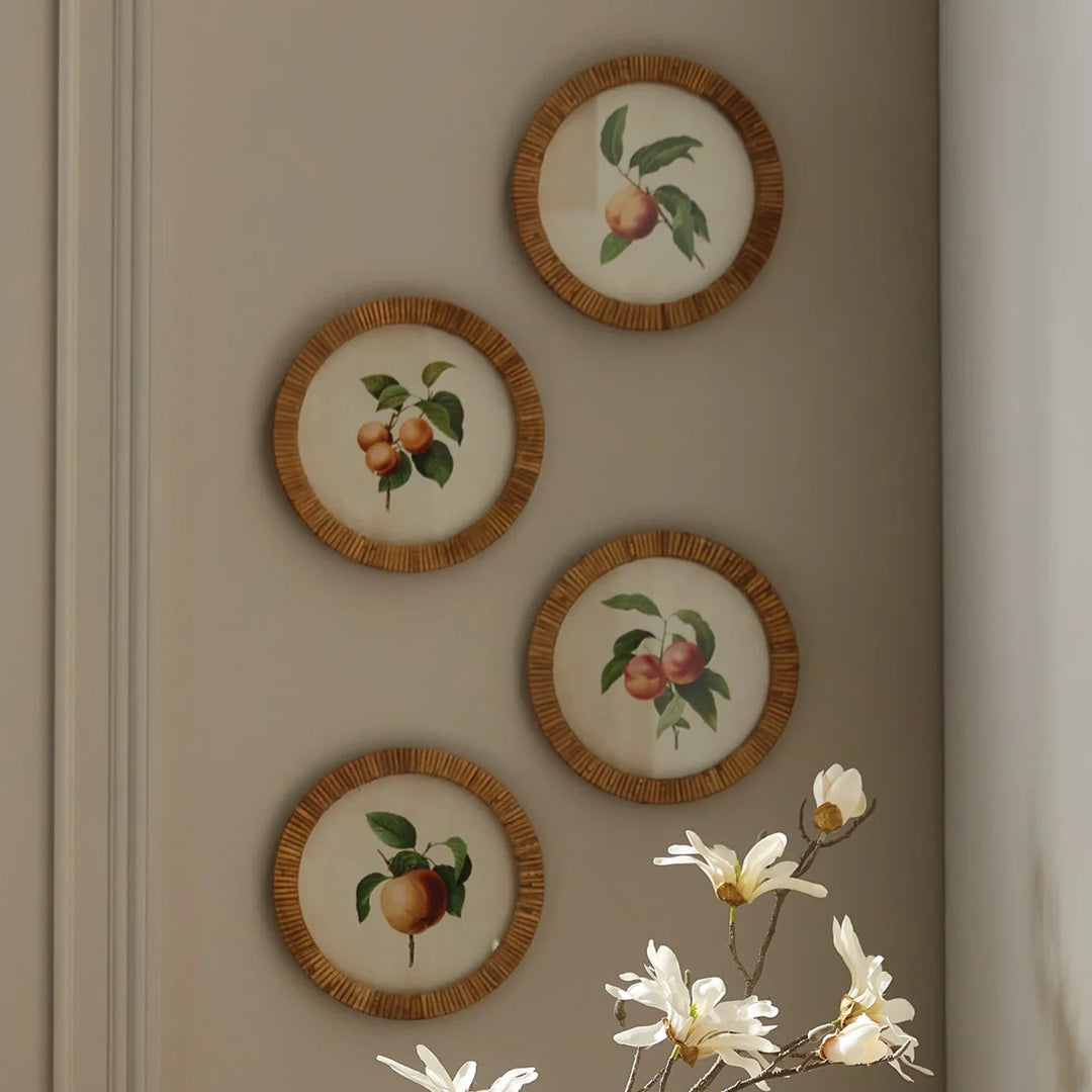 Peach Cuttings Round Petite Prints, Set Of 4 – Modern Organic