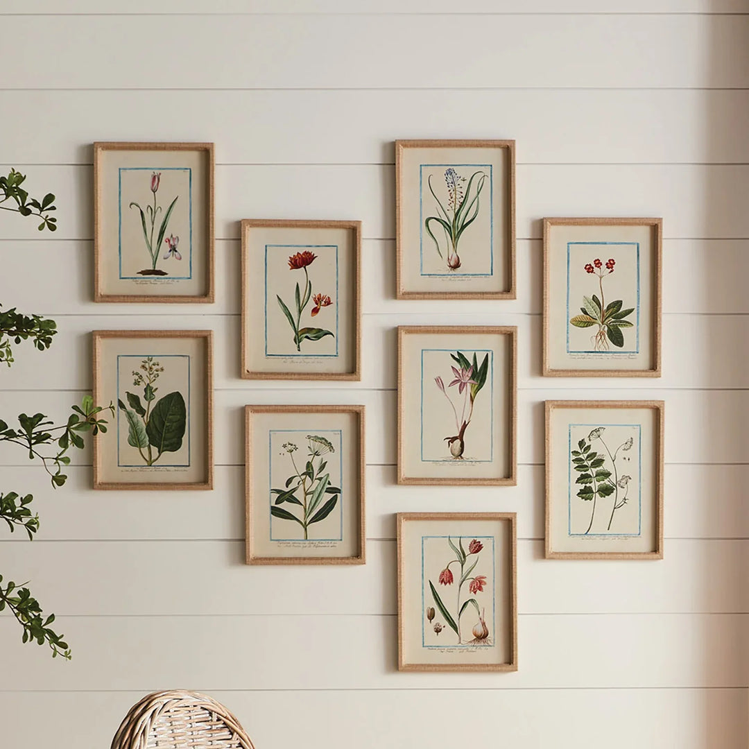 Dainty Flora &amp; Fauna Study, Set Of 9 – Modern Organic