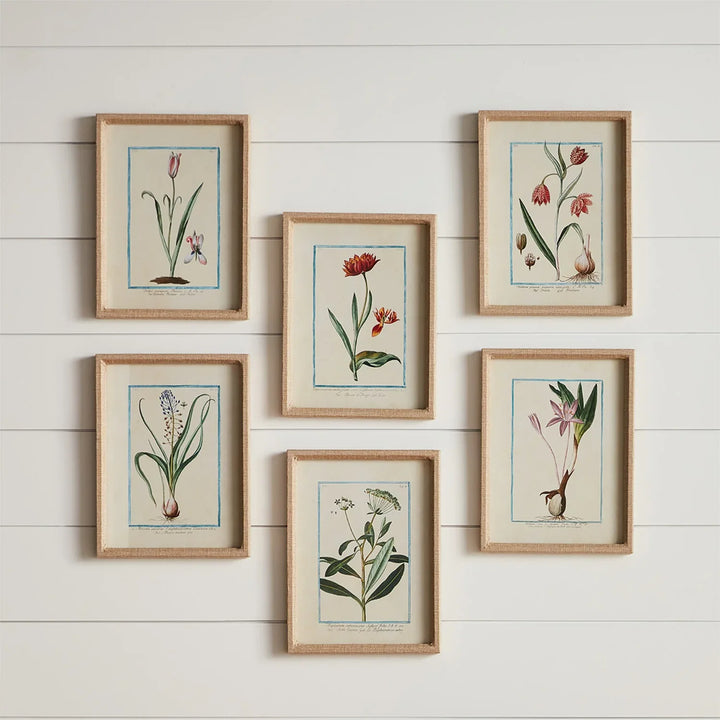 Dainty Flora &amp; Fauna Study, Set Of 9 – Modern Organic