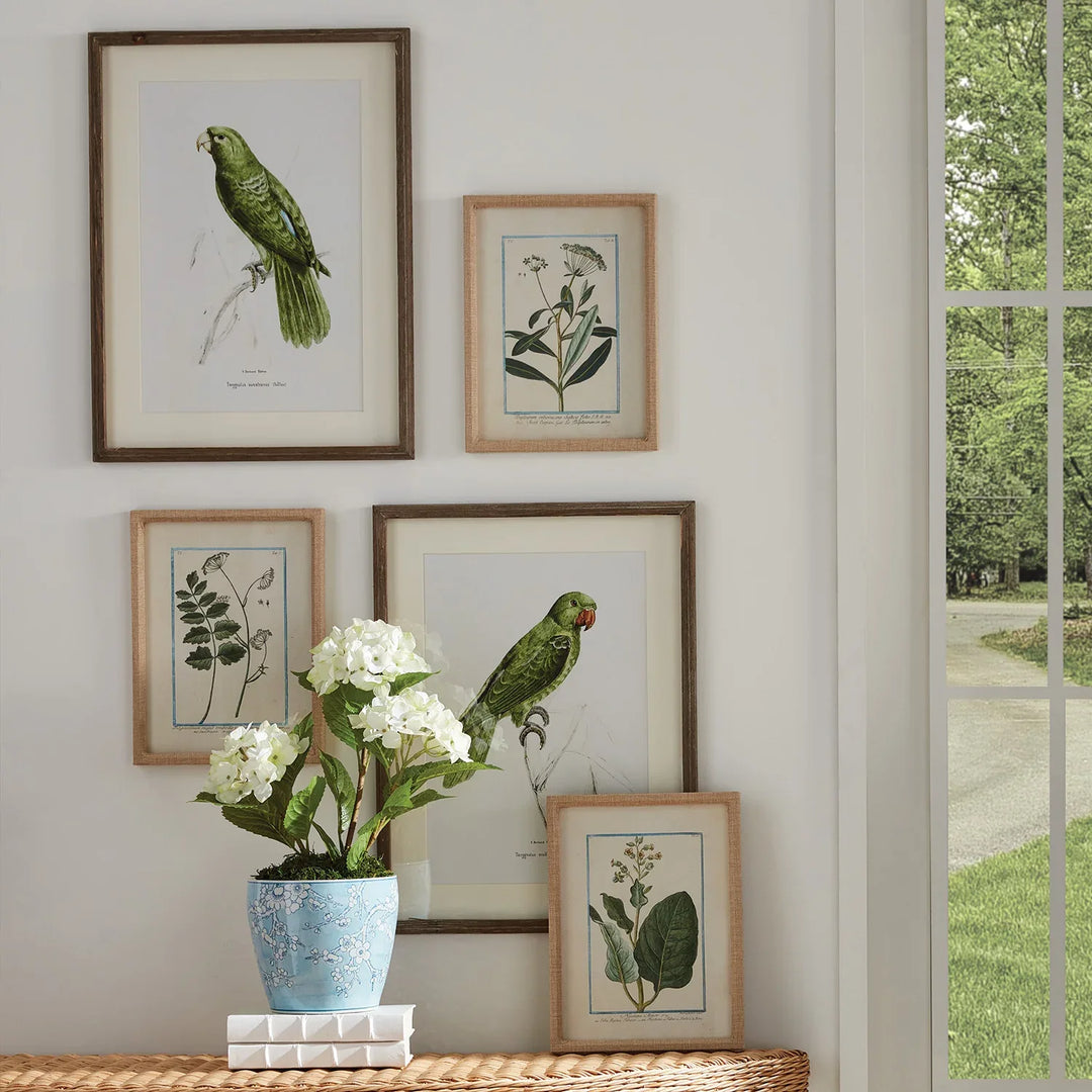 Dainty Flora &amp; Fauna Study, Set Of 9 – Modern Organic