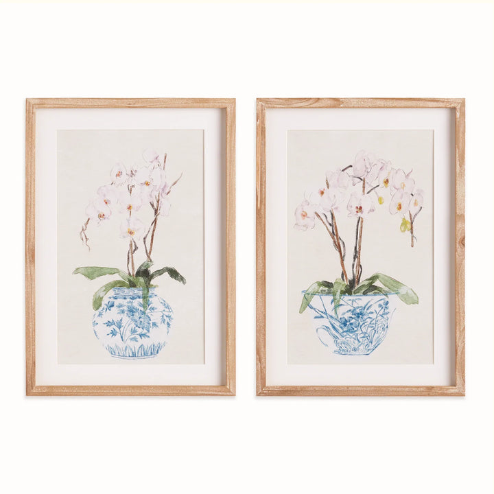 Potted Phalaenopsis Prints, Set Of 2 – Modern Organic
