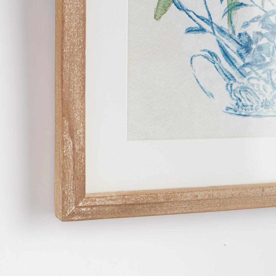 Potted Phalaenopsis Prints, Set Of 2 – Modern Organic