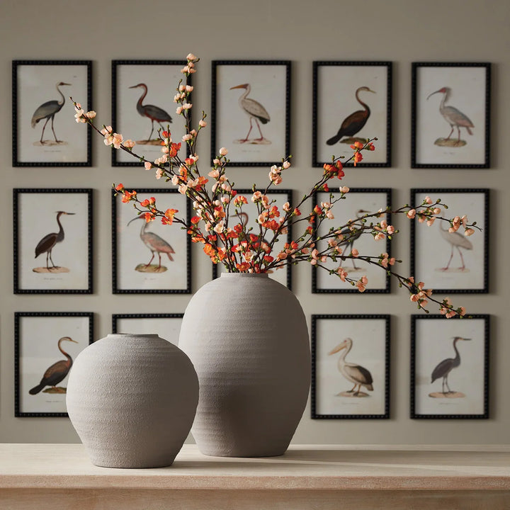 Aquatic Birds Study, Set Of 9 – Modern Organic