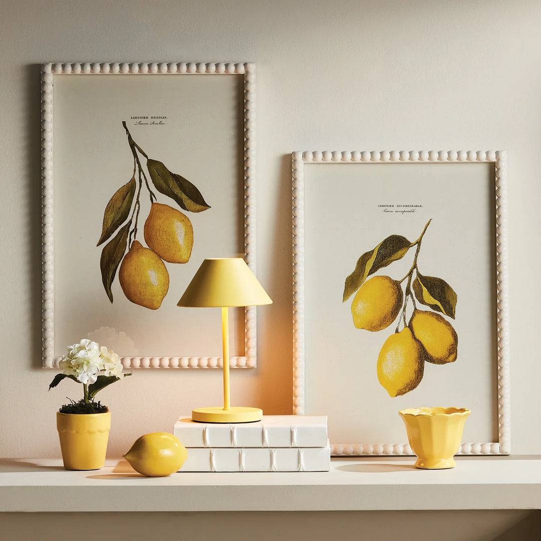 Lemon Cuttings Study, Set Of 3 – Modern Organic