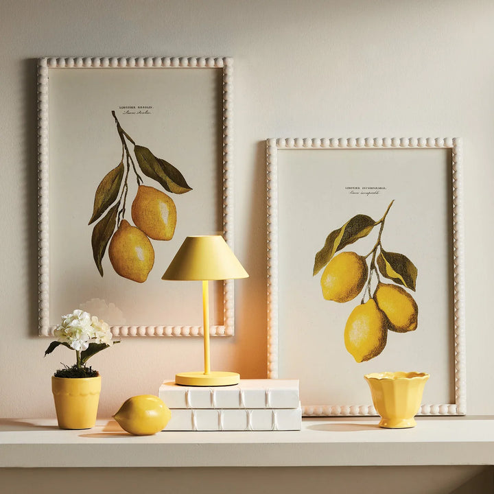 Lemon Cuttings Study, Set Of 3 – Modern Organic