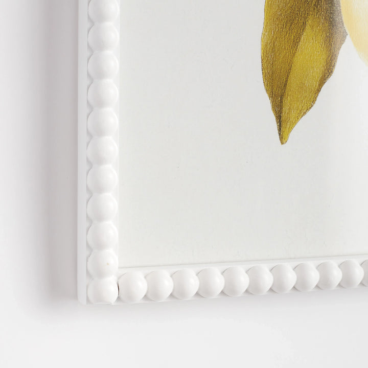 Lemon Cuttings Study, Set Of 3 – Modern Organic