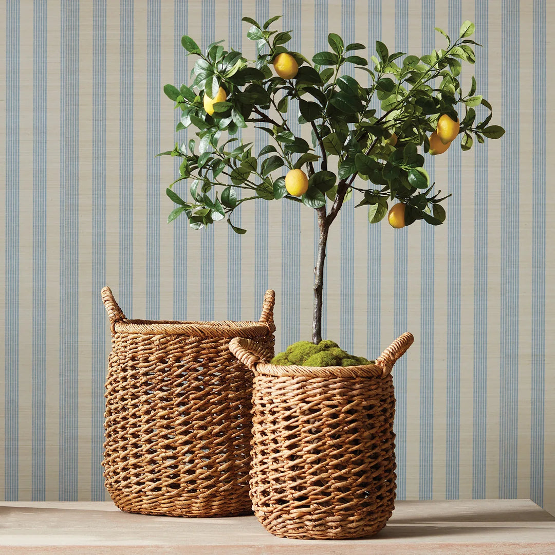 Cam Banana Leaf Baskets W/ Handles, Set Of 2 – Modern Organic