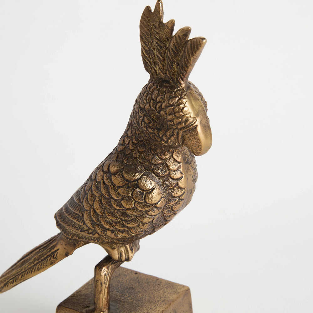 Parrot Sculpture – Modern Organic
