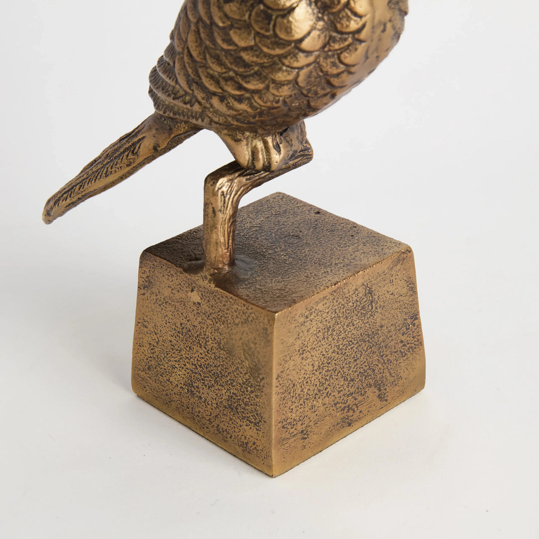 Parrot Sculpture – Modern Organic