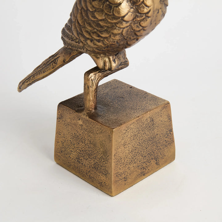 Parrot Sculpture – Modern Organic