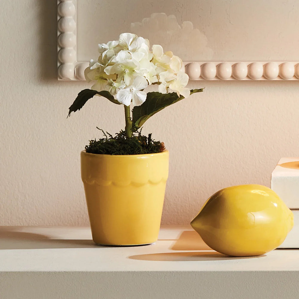 Mirabelle Mini Cachepots, Set Of 6 – Modern Organic