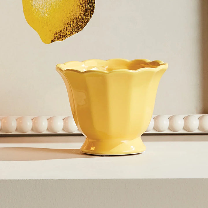 Mirabelle Mini Cachepots, Set Of 6 – Modern Organic
