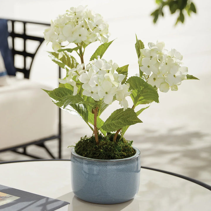 Aylin Pots, Set Of 3 – Modern Organic