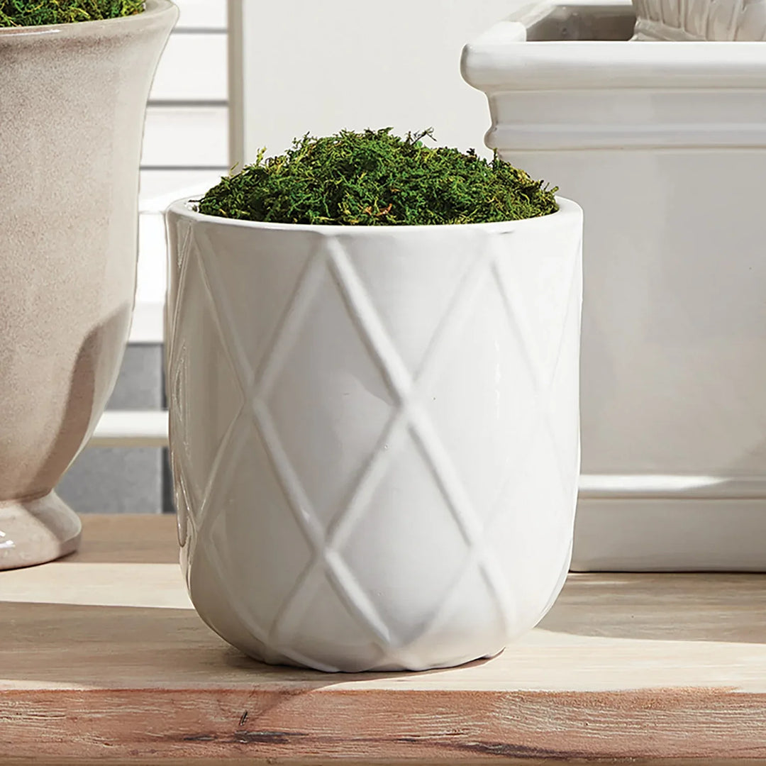 Maxwell Pots, Set Of 3 – Modern Organic