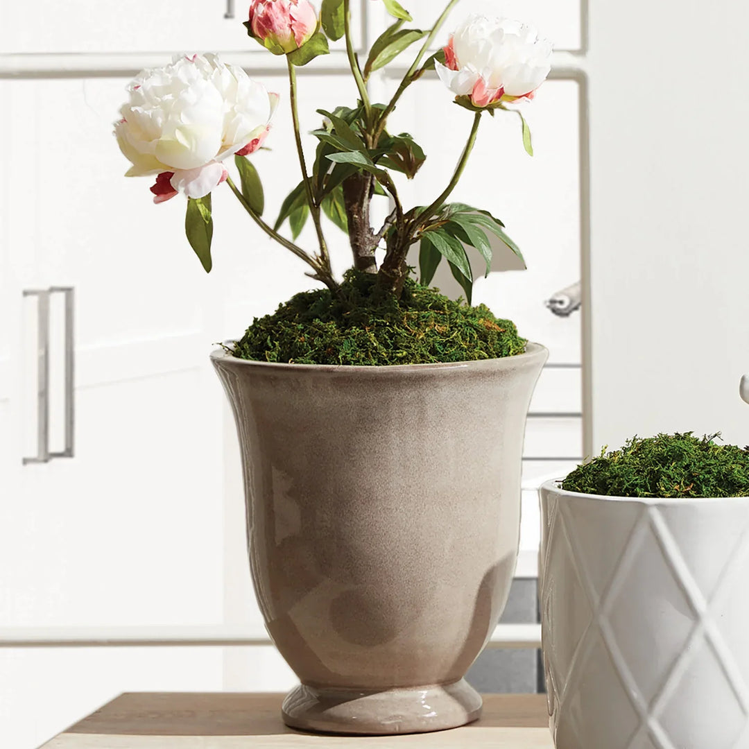 Gale Pots, Set Of 2 – Modern Organic