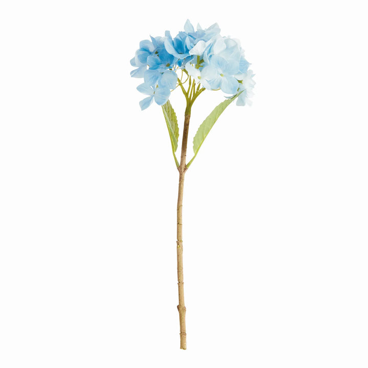 Hydrangea Stems 18", Set Of 6 – Modern Organic