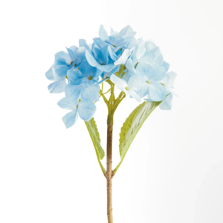 Hydrangea Stems 18", Set Of 6 – Modern Organic