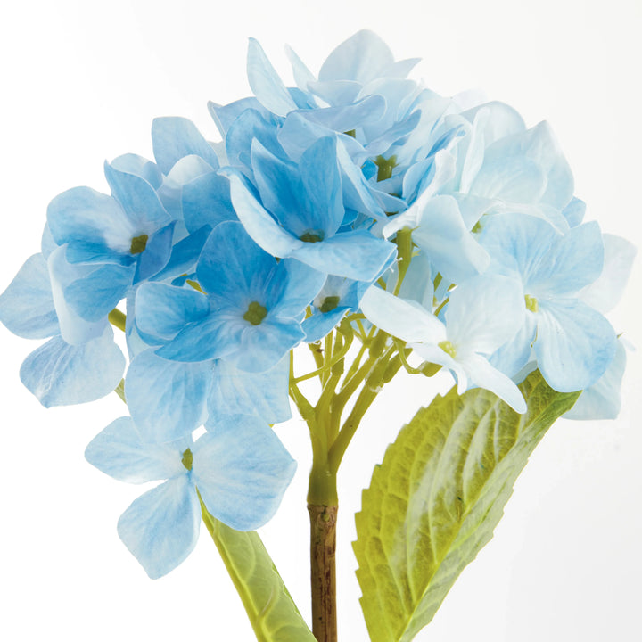 Hydrangea Stems 18", Set Of 6 – Modern Organic