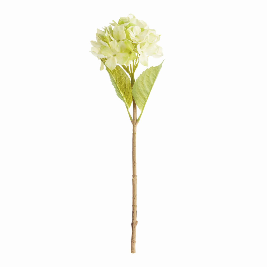 Hydrangea Stems 18", Set Of 6 – Modern Organic