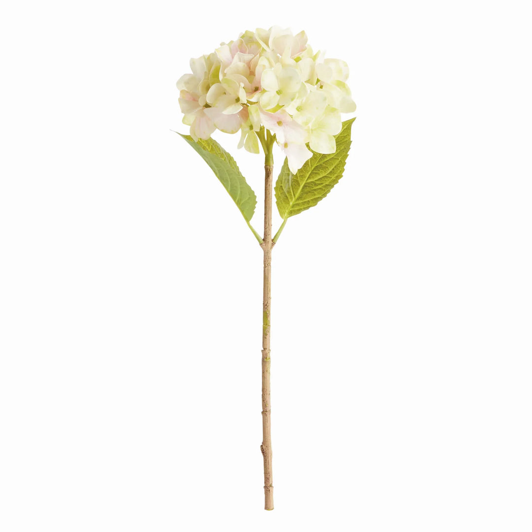 Hydrangea Stems 18", Set Of 6 – Modern Organic
